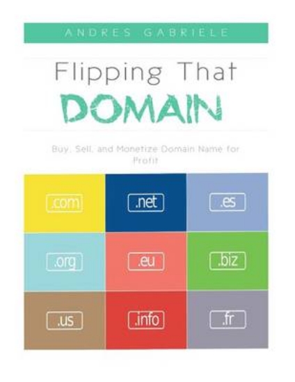 Picture of Flipping That Domain