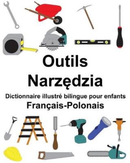 Picture of Francais-Polonais Outils Dictionnaire illustre bil