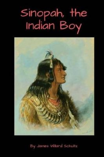 Picture of Sinopah, the Indian Boy