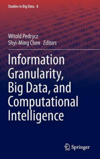 Picture of Information Granularity, Big Data, and Computation