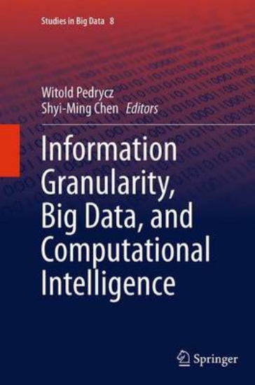 Picture of Information Granularity, Big Data, and Computation