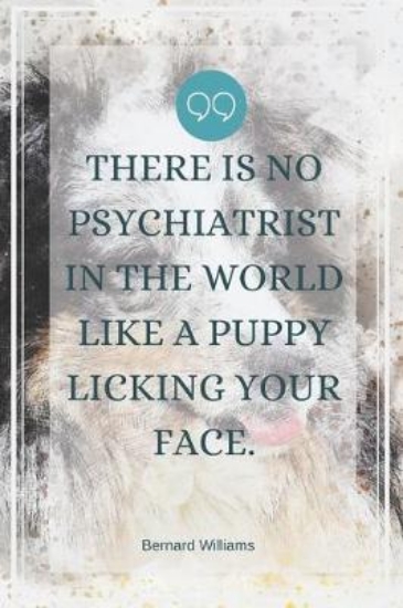 Picture of There is no psychiatrist in the world like a puppy