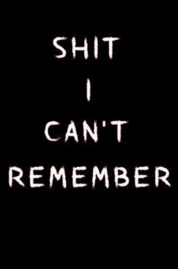 Picture of Shit I Can't Remember