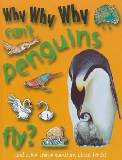 Picture of Why Why Why Can't Penguins Fly?