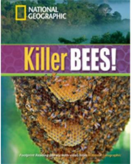 Picture of Killer Bees!