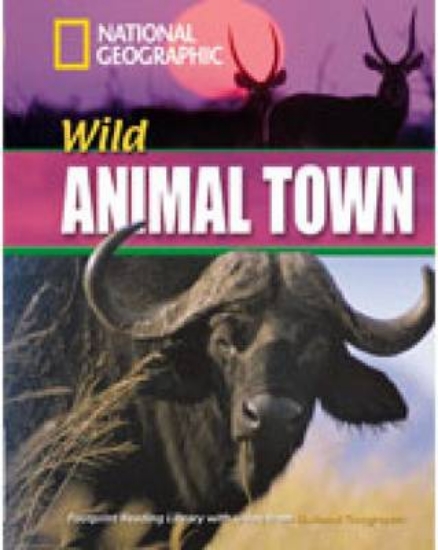 Picture of Wild Animal Town