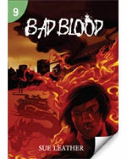 Picture of Bad Blood: Page Turners 9