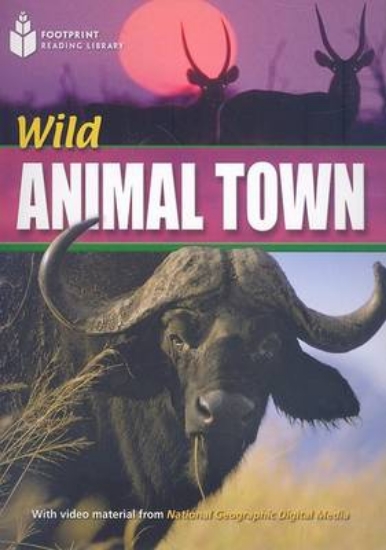 Picture of Wild Animal Town