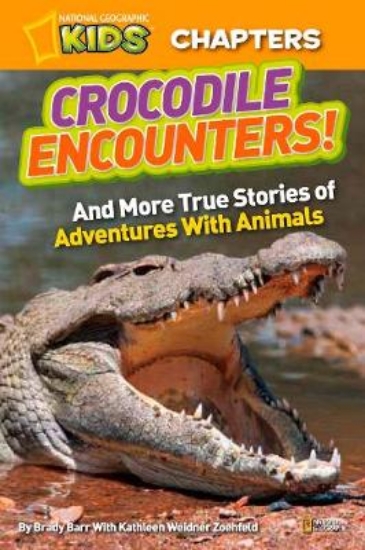 Picture of Crocodile Encounters
