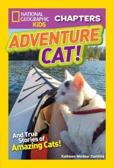 Picture of Adventure Cat