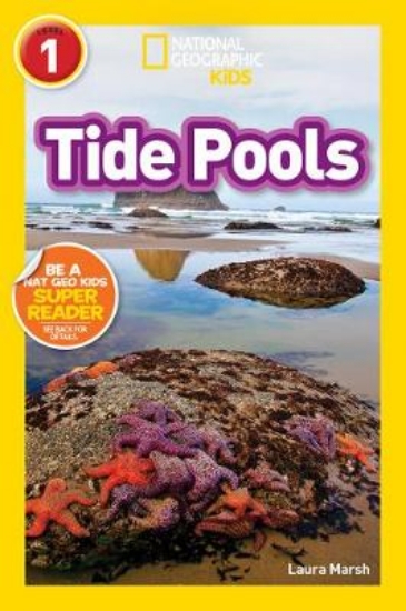 Picture of Tide Pools