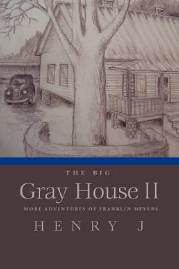 Picture of The Big Gray House II