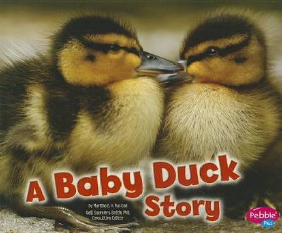 Picture of A Baby Duck Story (Baby Animals)