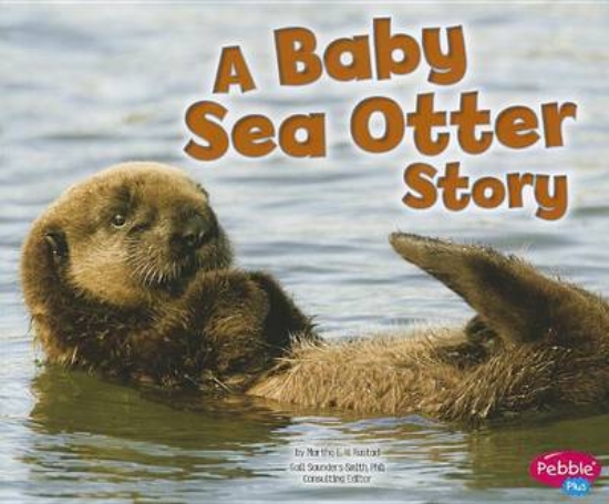 Picture of Baby Sea Otter Story