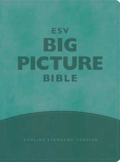 Picture of ESV Big Picture Bible