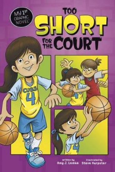 Picture of Too Short for the Court
