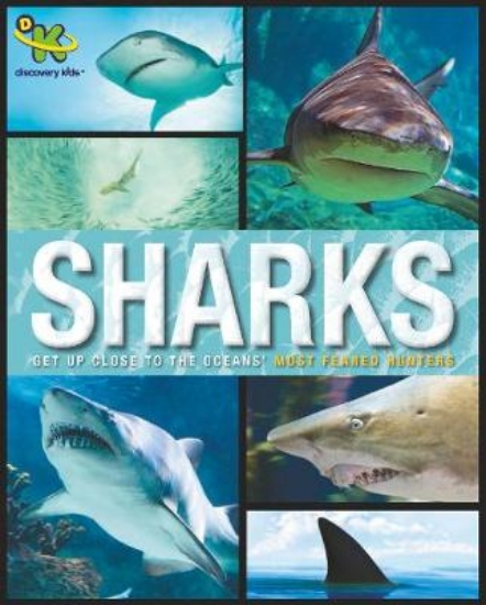 Picture of Discovery Kids Sharks