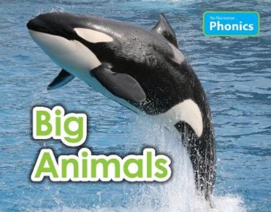 Picture of Big Animals