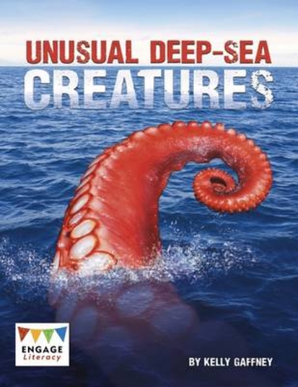 Picture of Unusual Deep-sea Creatures