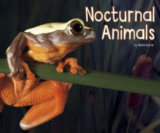 Picture of Nocturnal Animals