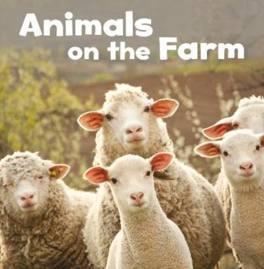 Picture of Animals on the Farm