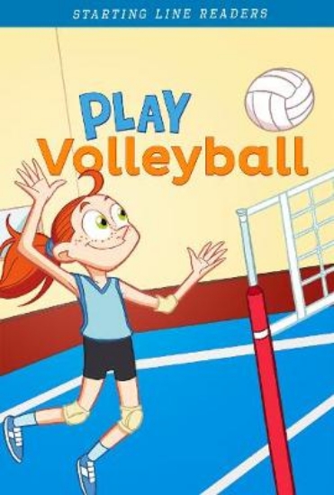 Picture of Play Volleyball