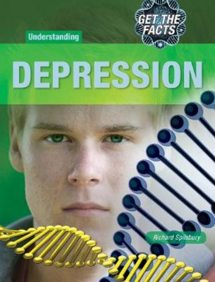 Picture of Understanding Depression