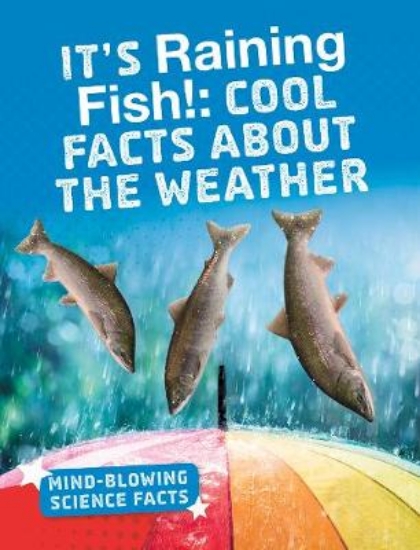 Picture of It's Raining Fish!