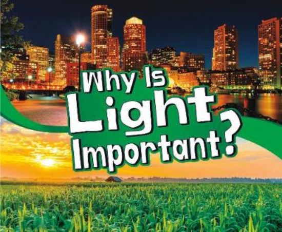 Picture of Why Is Light Important?