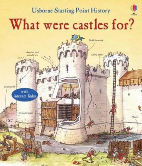 Picture of What Were Castles For?