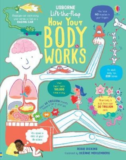 Picture of Lift the Flap How Your Body Works HB