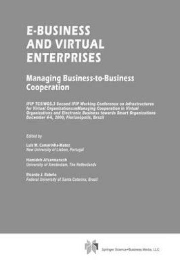 Picture of E-Business and Virtual Enterprises