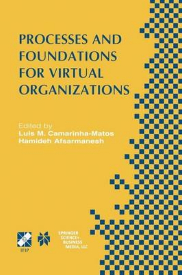 Picture of Processes and Foundations for Virtual Organization