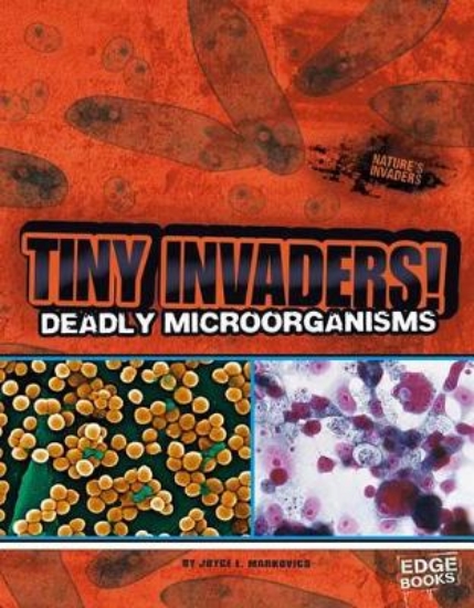 Picture of Tiny Invaders