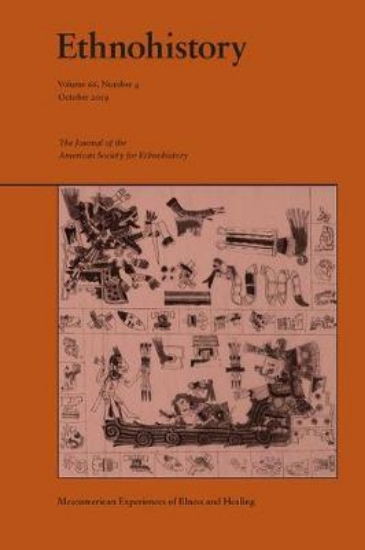 Picture of Mesoamerican Experiences of Illness and Healing