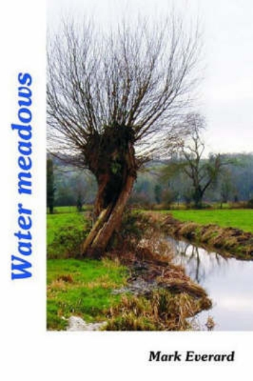 Picture of Water Meadows