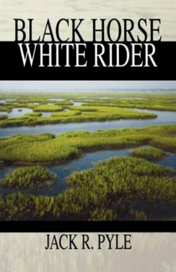 Picture of Black Horse, White Rider