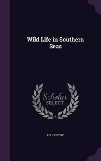 Picture of Wild Life in Southern Seas
