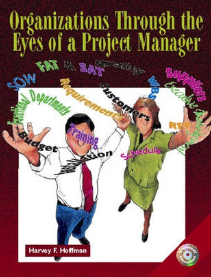 Picture of Organizations Through the Eyes of a Project Manage