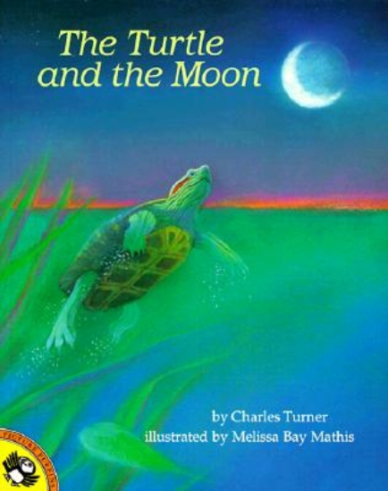 Picture of The Turtle and the Moon