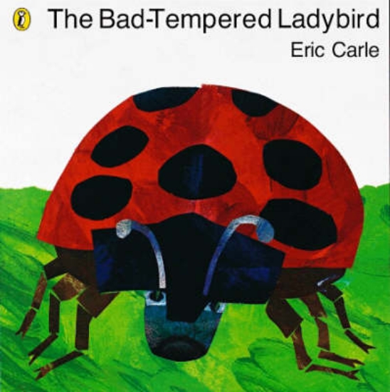 Picture of The Bad-tempered Ladybird