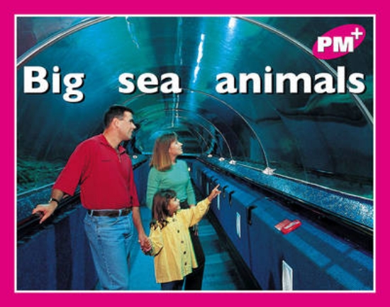 Picture of Big sea animals