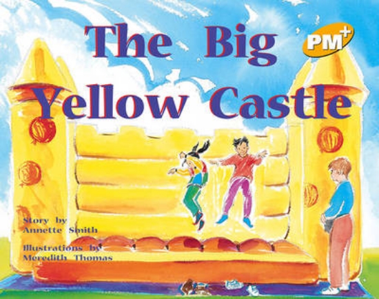 Picture of The Big Yellow Castle