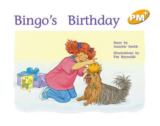 Picture of Bingo's Birthday