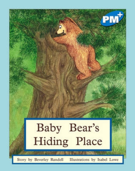 Picture of Baby Bear's Hiding Place