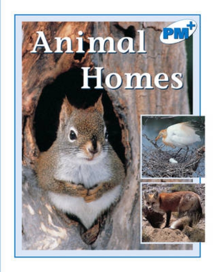 Picture of Animal Homes
