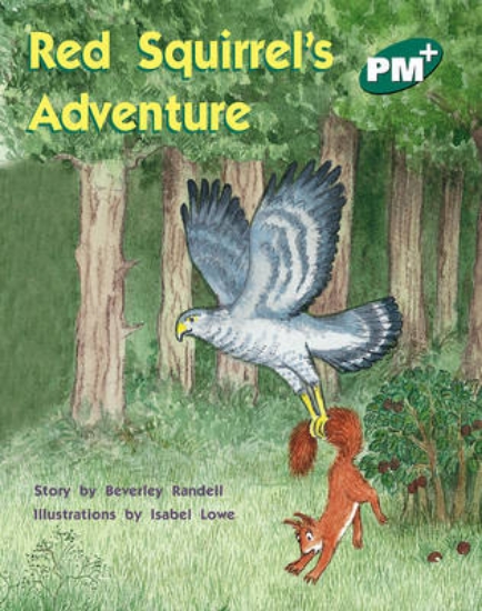Picture of Red Squirrel's Adventure
