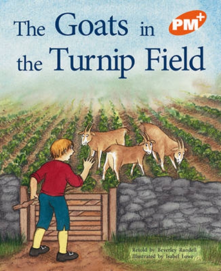 Picture of The Goats in the Turnip Field