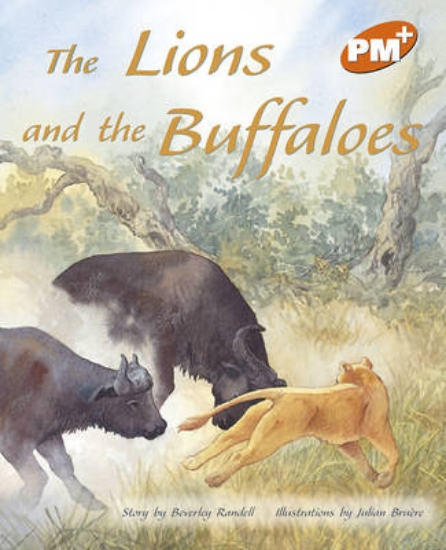 Picture of The Lions and the Buffaloes