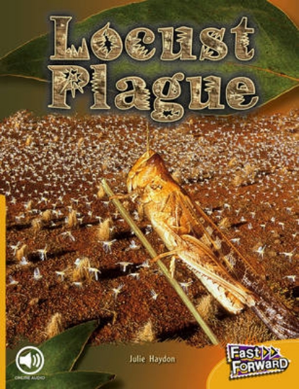 Picture of Locust Plague